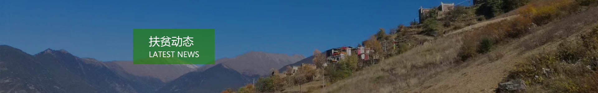 四明村四季明净，打造绿色山村