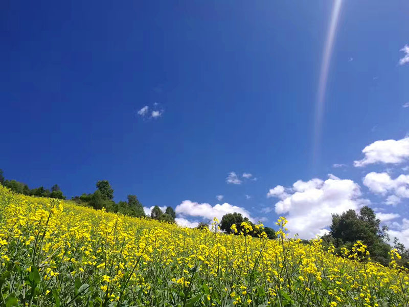 春之四明