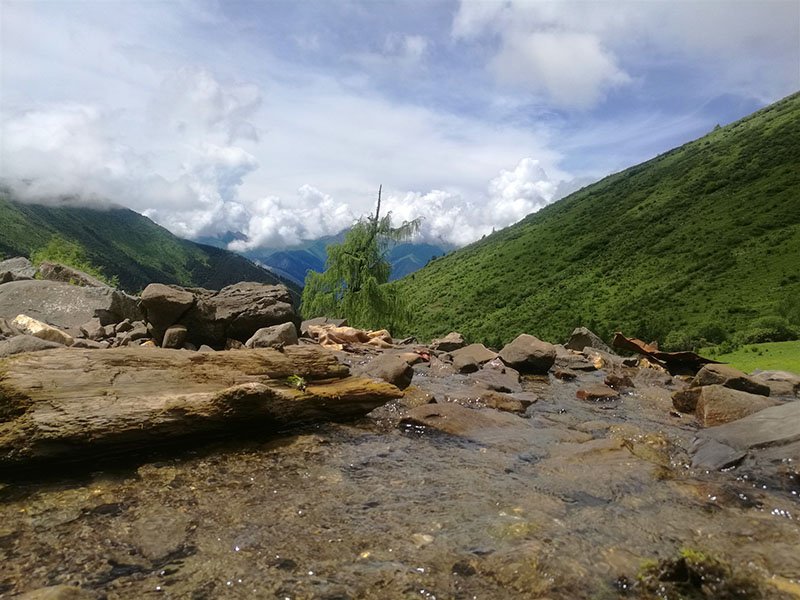 四明村夏季草场