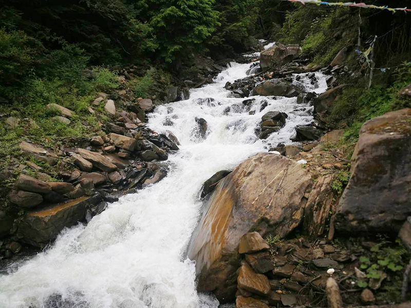 四明夏景