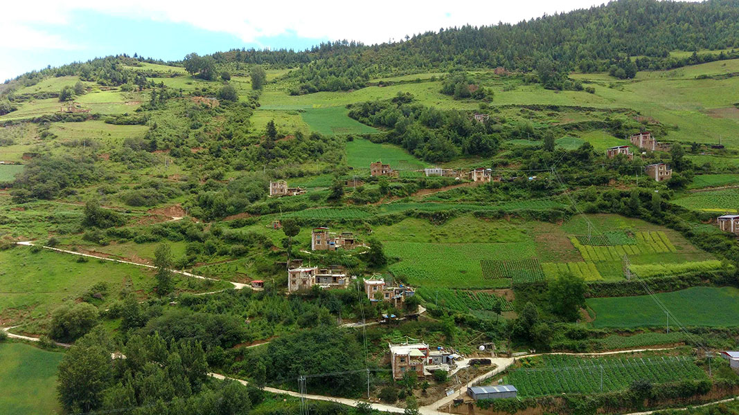 四明夏景